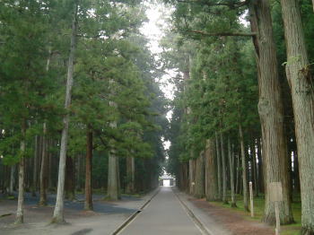 瑞巌寺の杉並木
